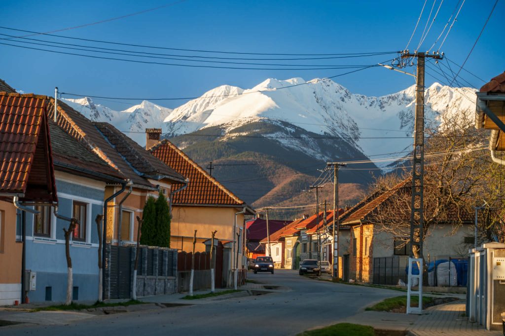 Începe recensământul câinilor cu stăpân în comuna Drăguș Pe 26 septembrie are loc o campanie de sterilizare